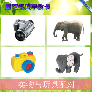 实物与玩具配对自闭症孤独症发育迟缓认知理解ABA语言训练塑封卡