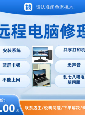 远程修理电脑/安装系统/电脑蓝屏/不能上网/系统重装/电脑修复