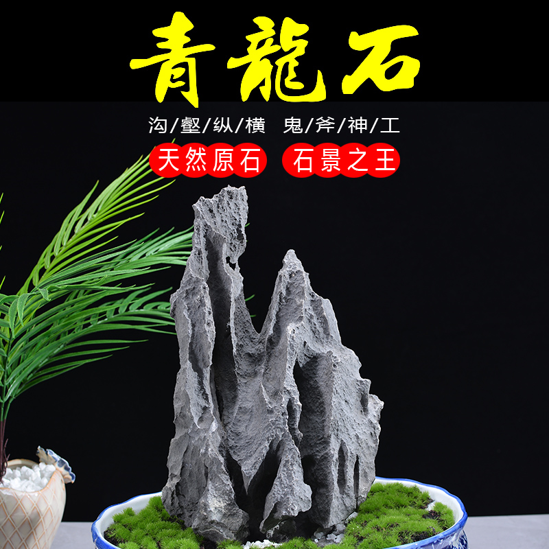 青龙石一物一拍造景石原石成品鱼缸假山草缸玄关中式石头奇石摆件