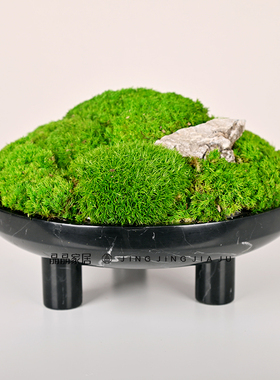 简约装饰桌面茶几永生苔藓摆件
