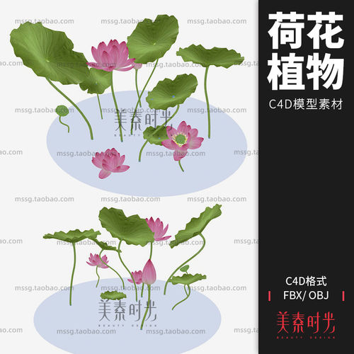 荷叶花卉模型莲花立体素材文件objfbx场景1组植物C4D模