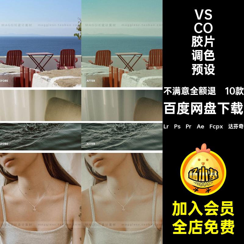 日系街拍VSCO胶片预设Lr丨Ps丨Pr丨Ae丨Fcpx丨达芬奇婚礼富士10款