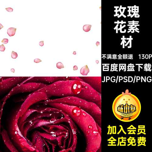 TP-33粉红色玫瑰花瓣高清图片七夕520背景海报JPG情人
