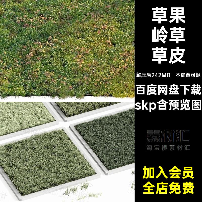 四季青草剪草皮草果草地SUskp颖马尼拉模型股草坪结百慕大缕岭
