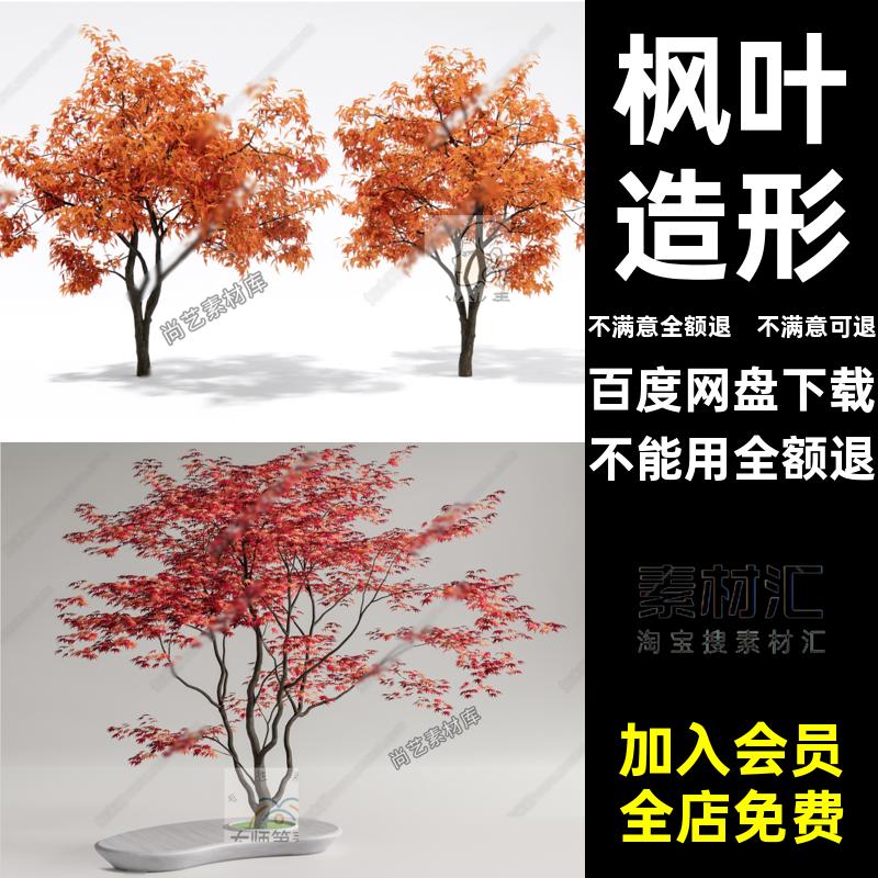 枫叶造形景观红枫树3D模型造景鸡爪槭色红枫树3D模型枫叶枫叶色