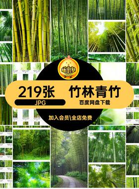 绿色翠竹竹林竹子图片合成219张JPG素材自然风景青竹高清打