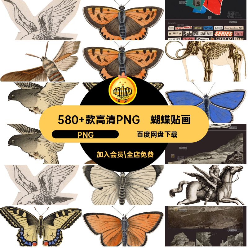 580 款高清PNG复古艺术插画手字母字母贴画贝壳蝴蝶动植物动植物