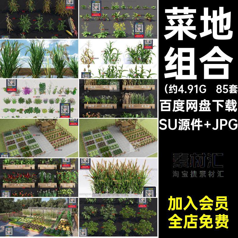 水稻辣椒萝卜菜园农作物85套蔬菜菜地玉米西红柿白菜SU模型更蔬菜,商务/设计服务,设计素材/源文件,淘宝优惠券,粉丝福利购,淘宝优惠卷
