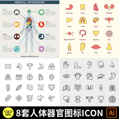 手绘人体器官眼耳口心肝脾肺肾胃肠道牙齿骨骼ICON图标AI矢量素材