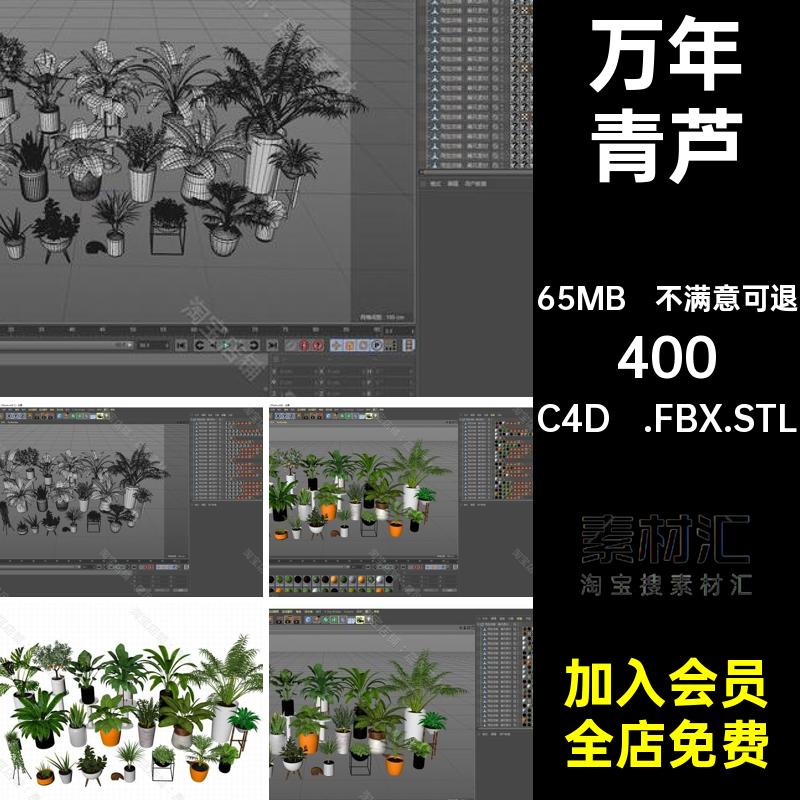 植物盆景C4D .FBX.STL三维万年青雪铁芋海芋模型植物盆栽三维模型