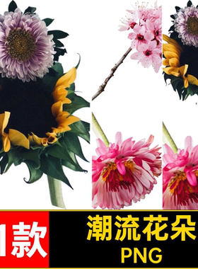 潮流花朵71款复古鲜艳抠图片植物PNG剪裁花卉免平面拼贴拼贴