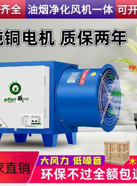 饭店静电风机一体机商用式油烟厨房餐饮烧烤家用净化器小型除味