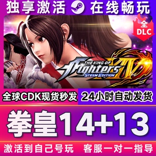 CDKEY兑换码 steam游戏全球区国区激活码 电脑 拳皇14