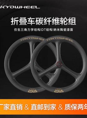 Java neo349折叠车碳纤维轮组