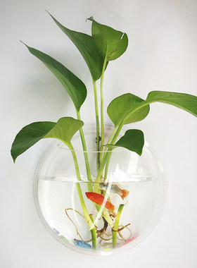 水培绿萝家居花器墙上亚克力墙贴插花花瓶水养植物壁挂特色花盆