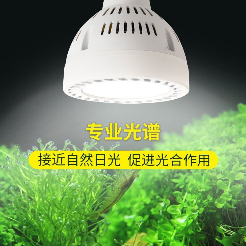 萌虫爆藻灯水草补光灯螺口家用聚光鱼缸爆藻用雨林水族草缸仿太阳