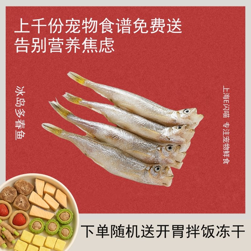 E闪喵 多春鱼250g宠物生骨肉食材熟自制食材