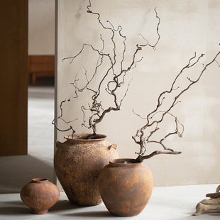 龙枣干枝树枝树干装饰天然弯曲插花干枝侘寂艺术风禅意风造景干花