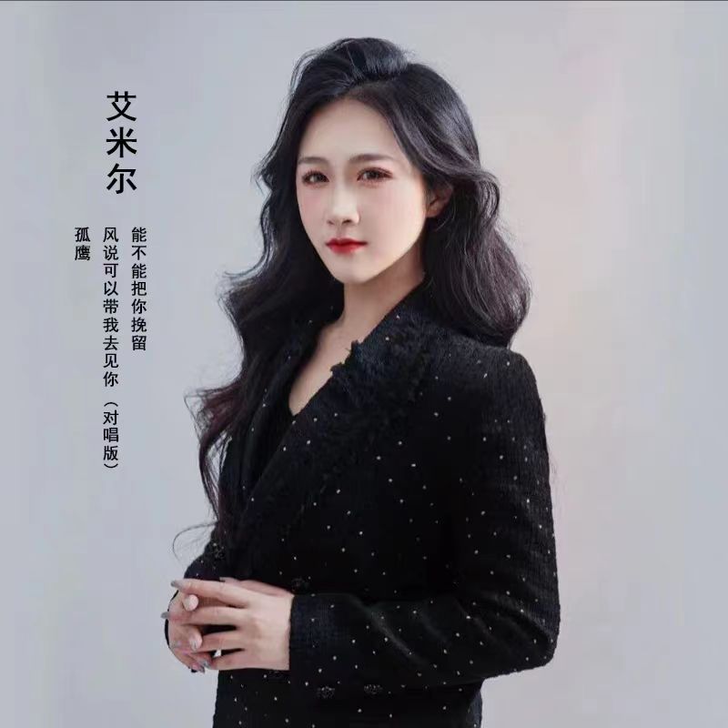 艾米尔音乐专辑歌曲车载cd光盘光碟歌碟无损唱片