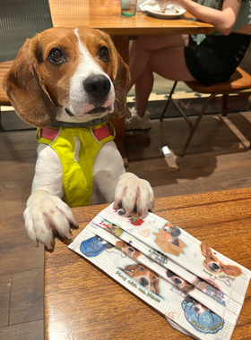 Dada's diary 比格犬卢旺达原创狗狗口罩