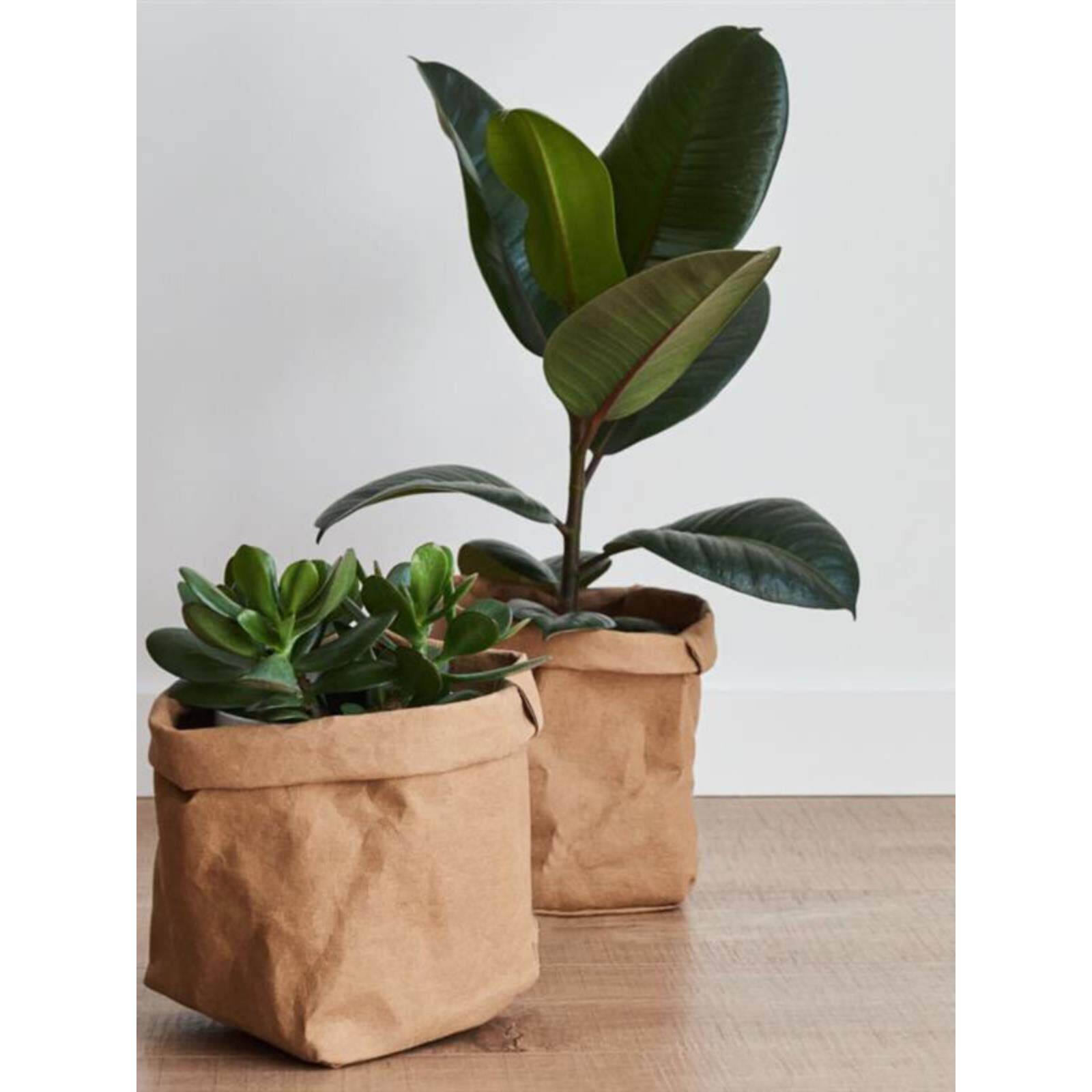 斯堪的纳维亚水洗牛皮纸袋花盆风格家庭储存袋冰箱蔬菜分类绿色植