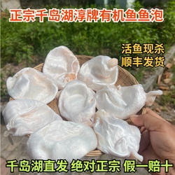 千岛湖鱼泡新鲜正宗胖头鱼泡新鳙鱼鲢鱼鳔鱼肚鲜鱼胶胶原蛋白脂