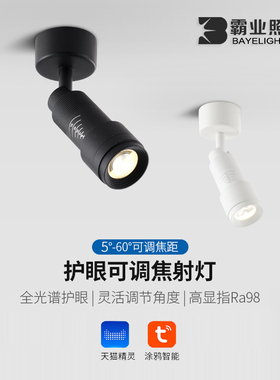 小光束角射灯明装可调角度调焦博物馆餐厅酒吧聚光氛围灯涂鸦智能