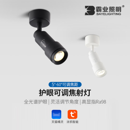 射灯可摇头5度8度15度吸顶式