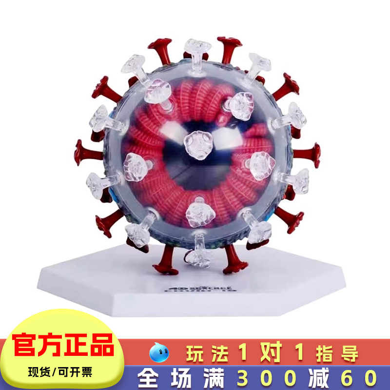 4D Master病毒模型毒株解剖解刨益智积木拼装玩具小学生