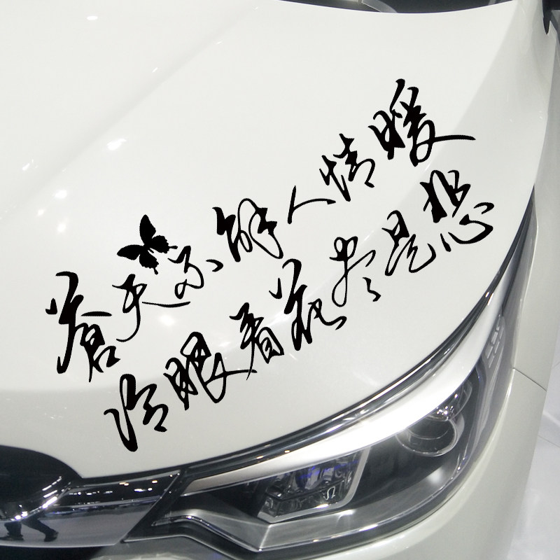 卓鹿苍天不解人情暖冷眼看花尽是悲车贴网红同款个性创意伤感车贴