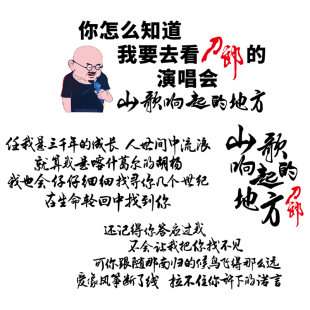 卓鹿 刀郎歌词车贴 山歌响起的地方 演唱会个性创意汽车装饰贴纸