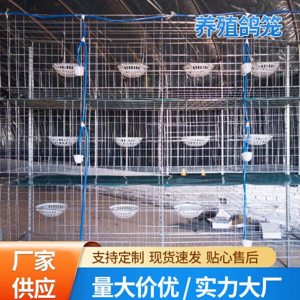 工厂鸽子笼3层12位肉鸽笼加粗加密彩镀锌鸽子笼子广式鸽笼