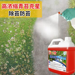 青苔清除剂水泥地面强力去除霉味墙壁墙面房屋去绿苔克星专用神器