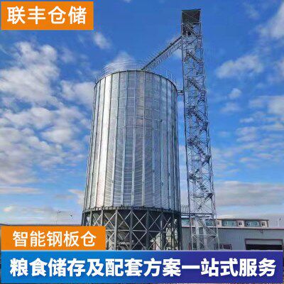 50—1000吨装配式粮仓 大型玉米小麦粮食钢板仓 新型圆形储粮仓