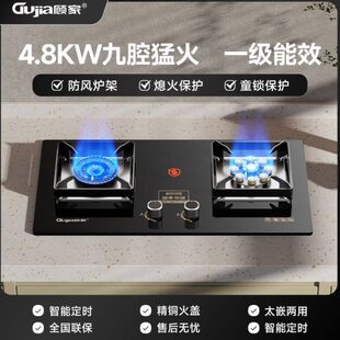 顾家燃气灶定时天燃气煤气灶双台嵌两用家用液化气能效猛火灶