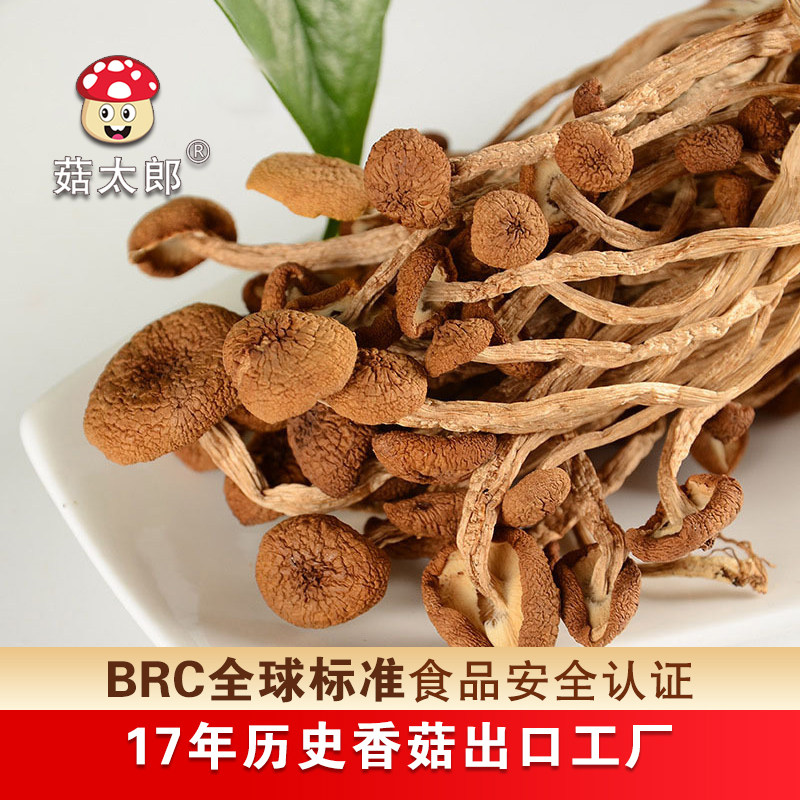 菇太郎茶树菇袋装脆脆菇不开伞