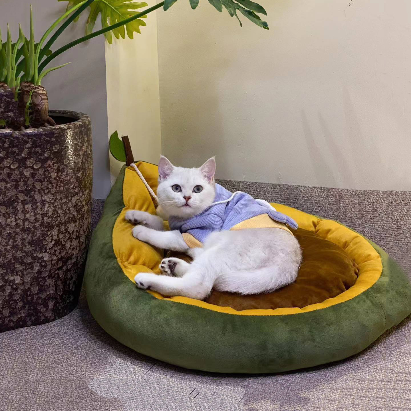 冬季水果猫窝，加厚保暖半封闭型