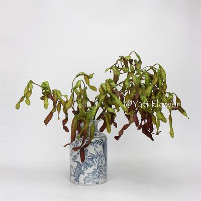 豌豆荚风信子草仿真花婚庆装饰