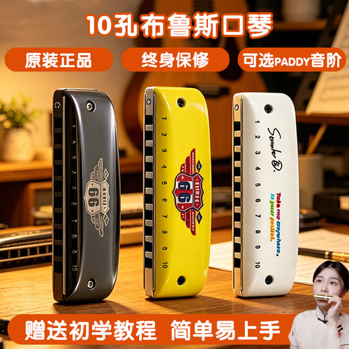 园园同款10孔布鲁斯口琴paddy