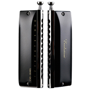 嘉德瑞C6调音半音阶C调EVO-0648s口琴12孔十二孔专业演奏级初学者