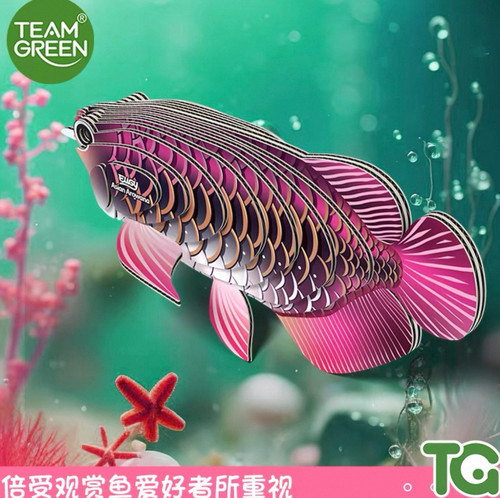 Teamgreen绿团坑纸3D立体拼图儿童益智玩具5岁以上小礼物创意玩具