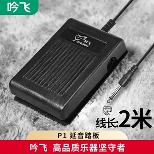 延音踏板电子钢琴乐器适配MIDI键盘合成器通用6.5MM接口吟飞配件