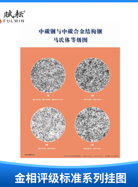 金相评级挂图Fe-Fe3C合金相图钢件感应淬火结构马氏体渗碳碳化物