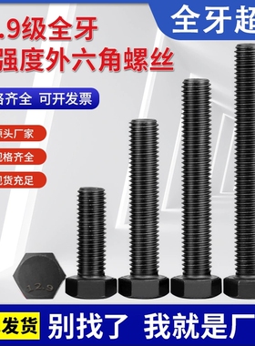 12.9级螺丝全牙外六角螺栓高强度加长螺钉M27M30M33M36M39M42M48