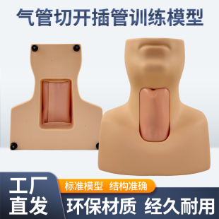 人体环甲膜穿刺气管切开插管训练模型气管插管模型缝合急救模拟人