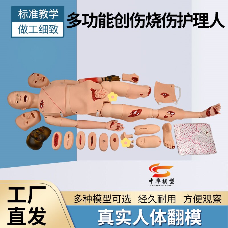 蓝蝶模型烧伤创伤护理人模型
