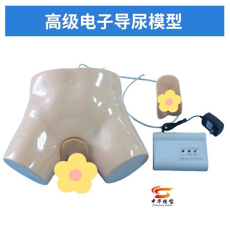 电子导尿及灌肠教学实习模型 男/女导尿训练模型 两性互换导尿