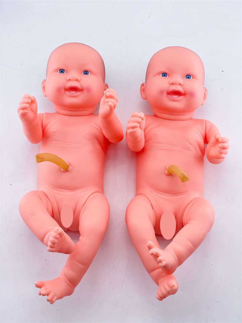 模型新生儿中华医学模型