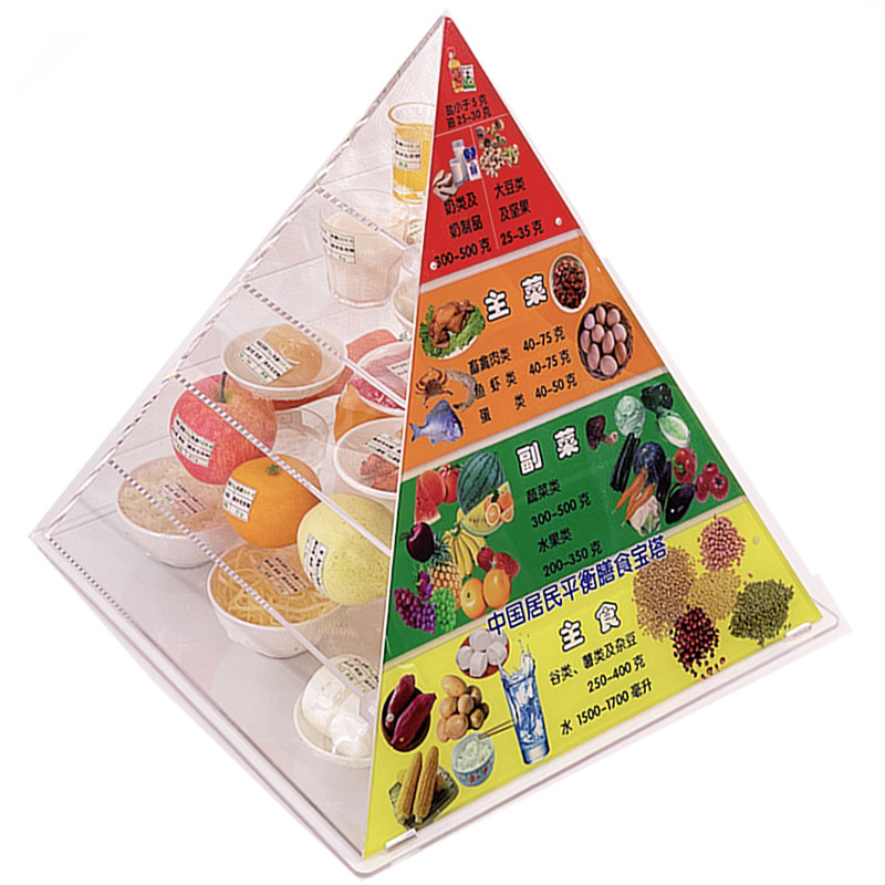 仿真食品 中国居民均衡营养膳食宝塔模型 新版营养食物模型