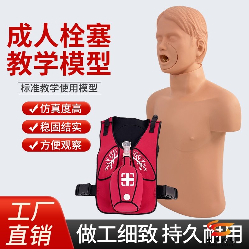 中华成人梗塞模型海姆立克示教
